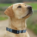 Load image into Gallery viewer, New York City FC Satin Collar