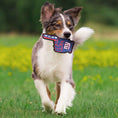 Load image into Gallery viewer, New York Giants #1 Fan Toy