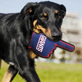 Load image into Gallery viewer, New York Giants #1 Fan Toy