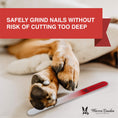 Load image into Gallery viewer, Glass Nail File for Dogs