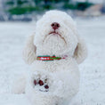 Load image into Gallery viewer, Up Country Naughty and Nice Cast Brass Dog Collar