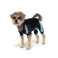 Load image into Gallery viewer, Navy Velour Jogger - Southlake Paws