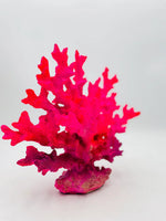 Neon Pink Coral Statue