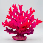 Neon Pink Coral Statue