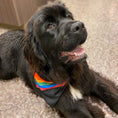 Load image into Gallery viewer, Sport Bandana - Rainbow Pride