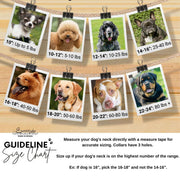 USA Sambboho dog collar