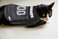Load image into Gallery viewer, NFL Las Vegas Raiders Mesh Dog Jersey