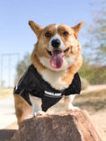 Load image into Gallery viewer, NFL Las Vegas Raiders Mesh Dog Jersey