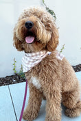 Load image into Gallery viewer, GINGHAM BANDANA