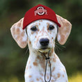 Load image into Gallery viewer, NCAA Ohio State University Buckeyes Dog Hat