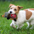 Load image into Gallery viewer, Ohio State Plush Hedgehog Toy