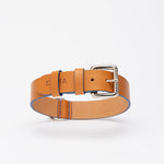 Cobalt Anemone Dog Collar