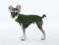 Load image into Gallery viewer, Pet Sweater Vest - Green