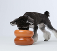Load image into Gallery viewer, Soufflé Pet Bowl - Amber Orange