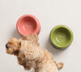 Load image into Gallery viewer, Soufflé Pet Bowl - Rose Pink