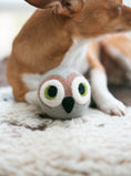 Load image into Gallery viewer, WISE OLD OWL BEASTBALL - Southlake Paws