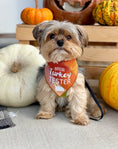 Load image into Gallery viewer, Official Turkey Tester Luxe Flannel Dog Bandana