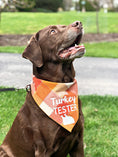 Load image into Gallery viewer, Official Turkey Tester Luxe Flannel Dog Bandana