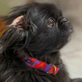 Load image into Gallery viewer, Ombre Dog Collars and Leads - 2 Styles