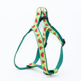 Load image into Gallery viewer, One in a Melon Dog Harness