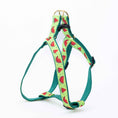 Load image into Gallery viewer, Up Country One in a Melon Dog Cast Brass Dog Harness