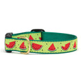 Load image into Gallery viewer, One in a Melon Dog Collar