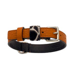 Orange Desert Dog Collar