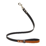 Orange Desert Dog Leash