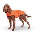 Load image into Gallery viewer, Up Country Orange Field Coat Pet Accessory