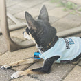 Load image into Gallery viewer, Parisian Pet 'Mommy's Boy' Cotton Dog Apparel – Comfortable T-Shirt for Small Dogs and Cats, Light Blue-Valentine's Day