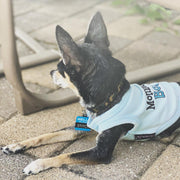 Parisian Pet 'Mommy's Boy' Cotton Dog Apparel – Comfortable T-Shirt for Small Dogs and Cats, Light Blue-Valentine's Day