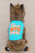Load image into Gallery viewer, Parisian Pet 'I'm Kind of a Big Deal' Humorous Dog Shirt – Embroidered Graphic Pet T-Shirt for Dogs & Cats, Light Blue