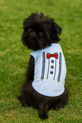 Load image into Gallery viewer, Parisian Pet 'Suspender' Dog Shirt – Formal Outfit for Dogs & Cats, Light Blue