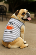 Load image into Gallery viewer, Parisian Pet 'Crabby But Cute Tee' Embroidered Dog Shirt - Trendy Pet Apparel for Dogs & Cats, Gray and White Stripes