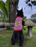 Load image into Gallery viewer, Parisian Pet 'Turtley Awesome' Dog Shirt – Fun Slogan Cotton Pet T-Shirt for Dogs & Cats, Red and White Stripes