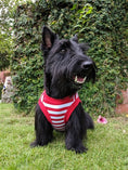 Load image into Gallery viewer, Parisian Pet 'Turtley Awesome' Dog Shirt – Fun Slogan Cotton Pet T-Shirt for Dogs & Cats, Red and White Stripes