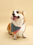 Load image into Gallery viewer, Park Day Denim Gingham Print Handmade Bandana