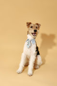Load image into Gallery viewer, Blue Botanique Necktie Bandana