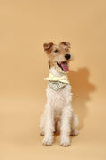 Load image into Gallery viewer, Bowtiful Garden Butter Yellow Floral Bandana