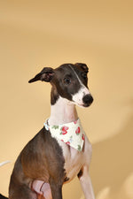 Strawberry Fields Butter Yellow Triangle Bandana