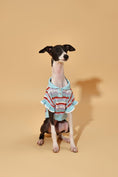 Load image into Gallery viewer, Pet & Me Spring Summer Ocean Blue Ruffle Crochet Short Sleeve Polo Shirt