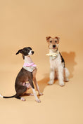 Load image into Gallery viewer, Bowtiful Garden Pink Floral Bandana