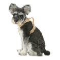 Load image into Gallery viewer, NO PULL ACTIVE PET HARNESS - APRICOT