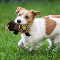 Load image into Gallery viewer, San Diego Padres Plush Hedgehog Toy