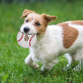 Load image into Gallery viewer, San Diego Padres Hard Nylon Baseball Chew Toy