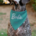 Load image into Gallery viewer, Pet Bandana - BARBIE Paw Print Icons and Script Blue/Multi Pastel