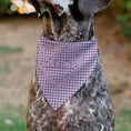 Load image into Gallery viewer, Pet Bandana - BARBIE Heart Text Logo Plaid Pinks