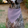 Load image into Gallery viewer, Pet Bandana - BARBIE Heart Text Logo Plaid Pinks