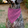 Load image into Gallery viewer, Pet Bandana - BARBIE Script and Palm Tree Icon Pink/White/Orange
