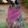 Load image into Gallery viewer, Pet Bandana - BARBIE Script and Palm Tree Icon Pink/White/Orange